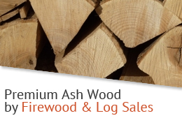 Premium Ash Wood